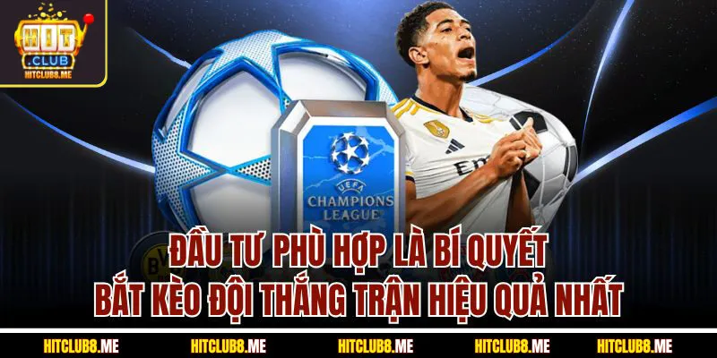 dau-tu-phu-hop-la-bi-quyet-bat-keo-doi-than